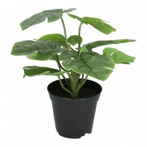 Umelá rastlina MONSTERA zelená 29 cm